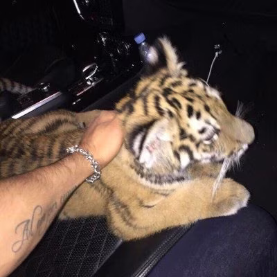 @txbrraa profile photo